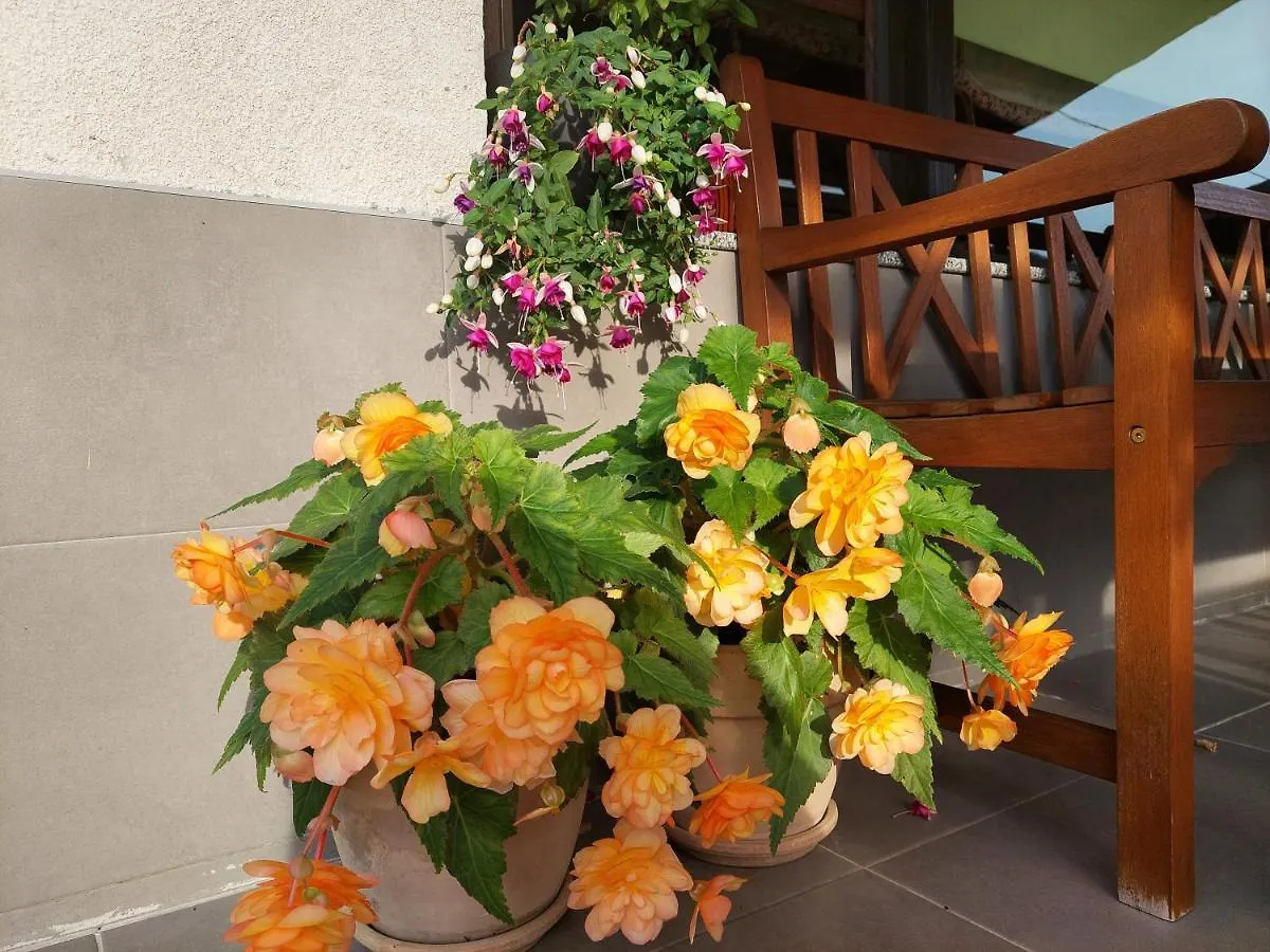 Apartman Thea Gomirje Apartment