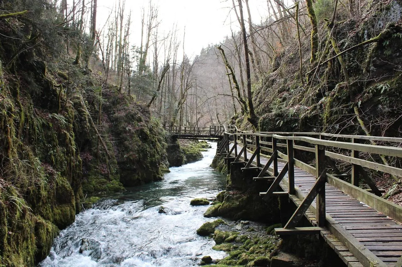 Apartman Thea Gomirje Croatia